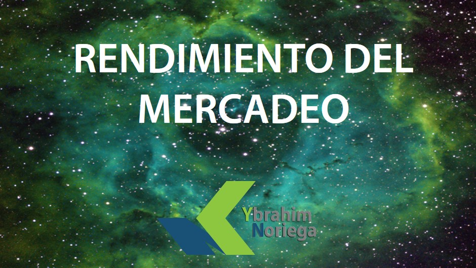 Rendimiento del Mercadeo , Componente del Mercadeo Holístico